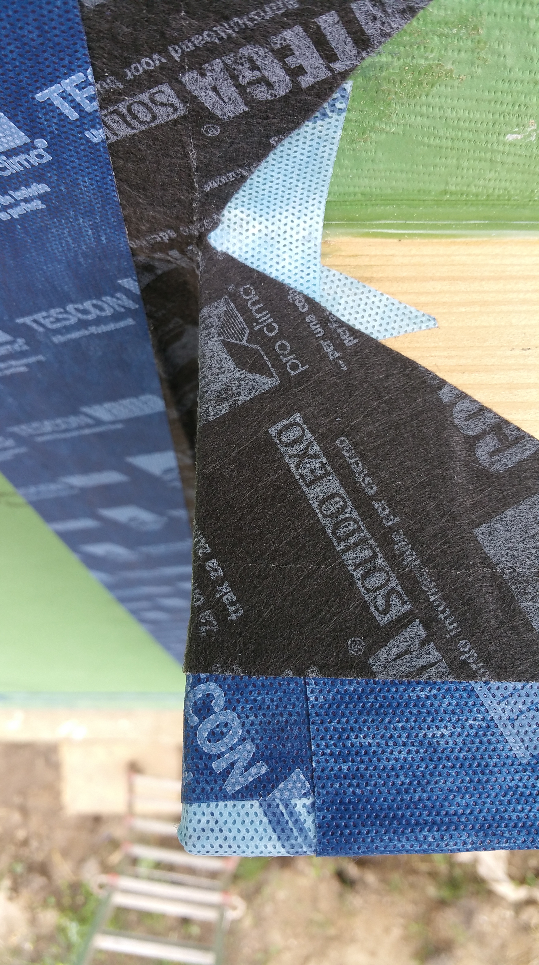 close up contega up over top of buck