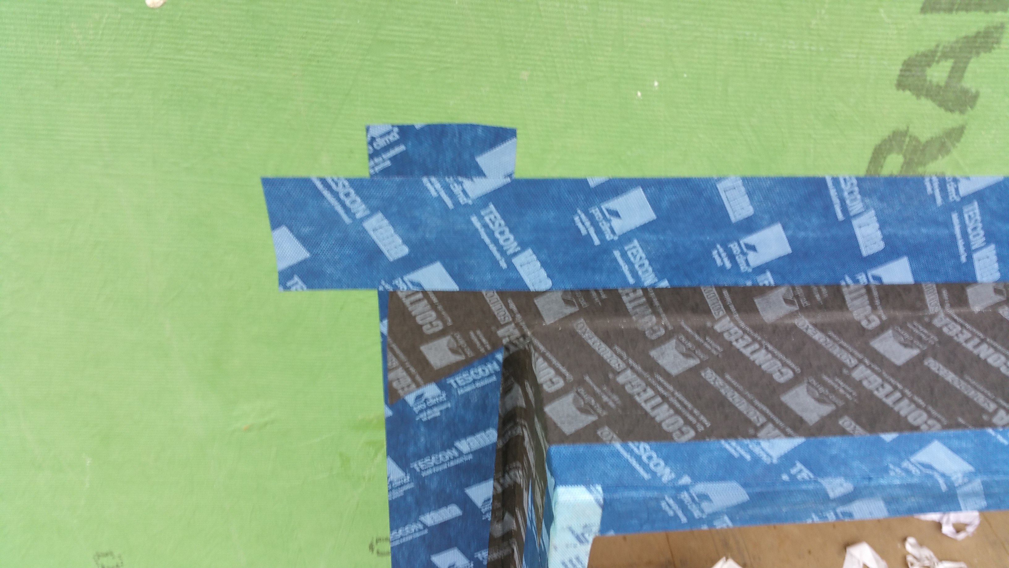 head of wdw buck finished w: t vana