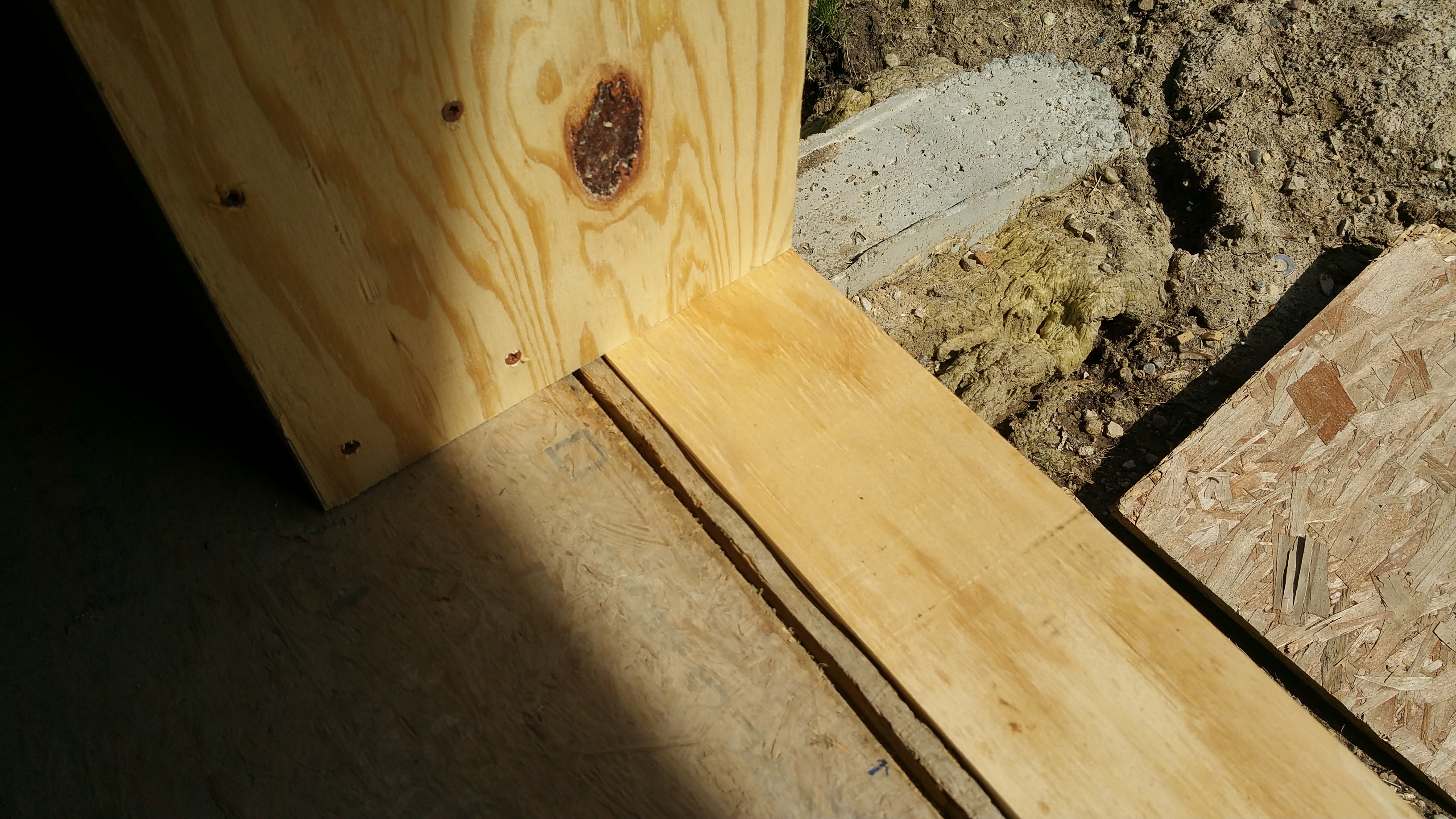 kitch dr buck looking down at plywood