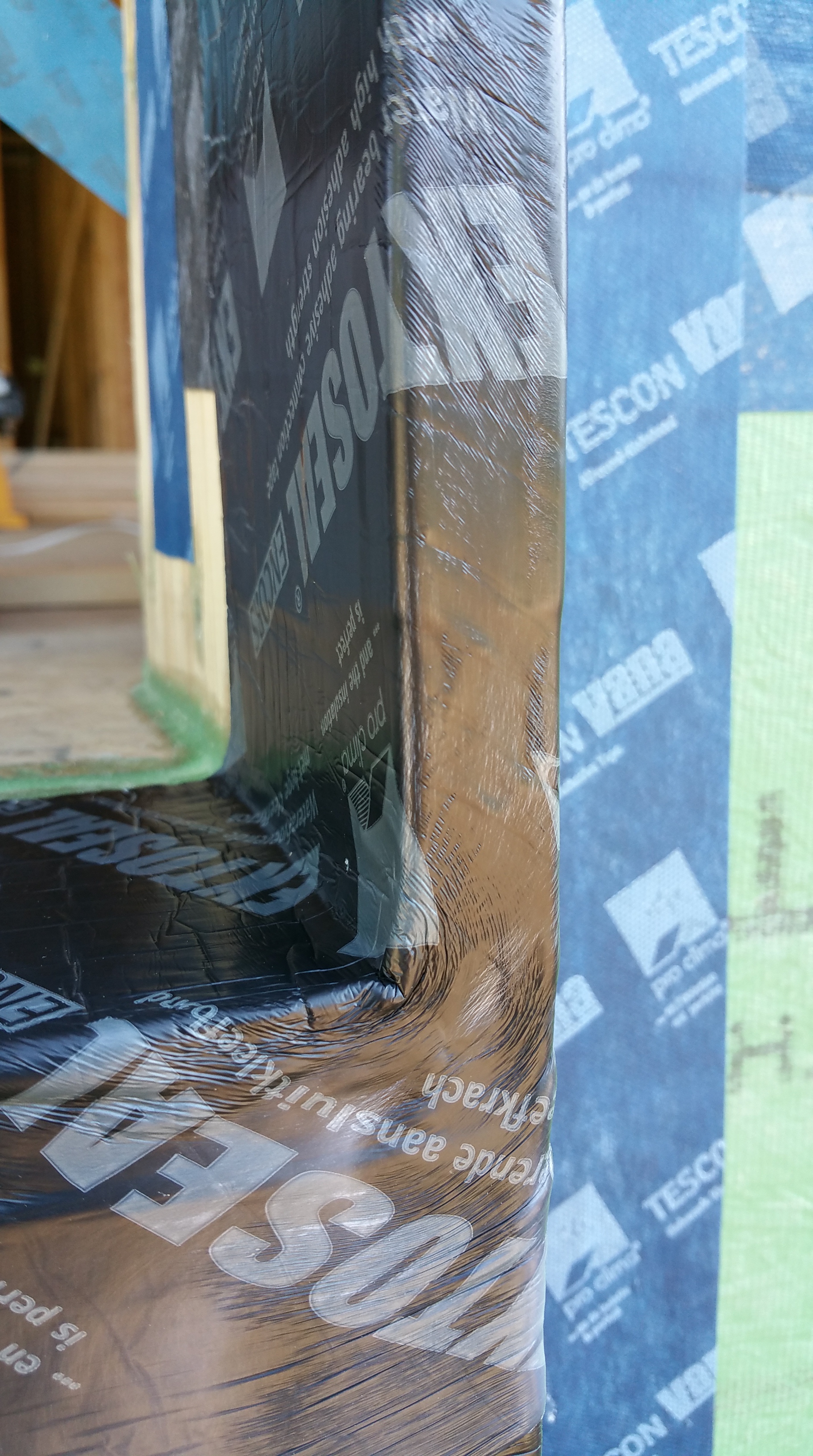 lower rgt kitch dr buck w: extoseal