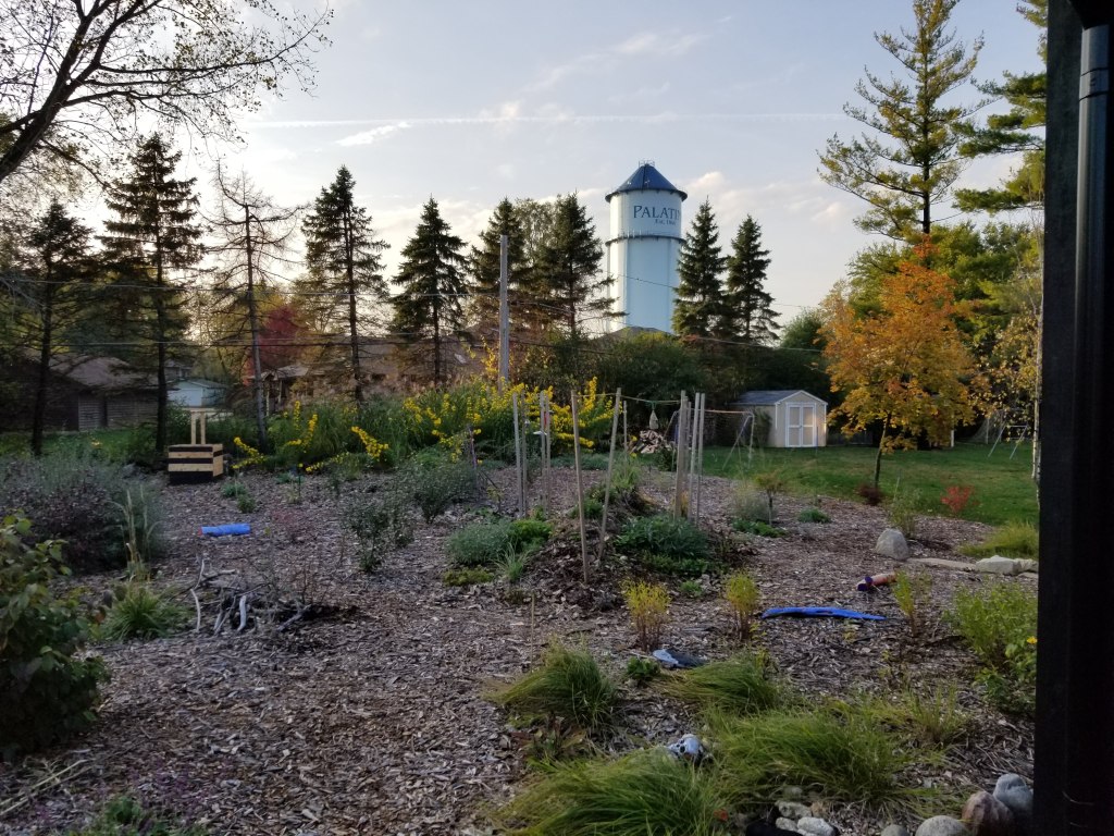 backyard permaculture