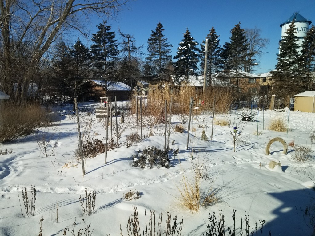 permaculture landscape in winter