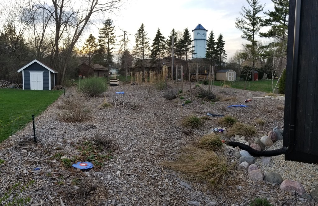 backyard permaculture in spring