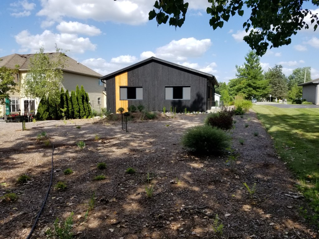 first year permaculture yard