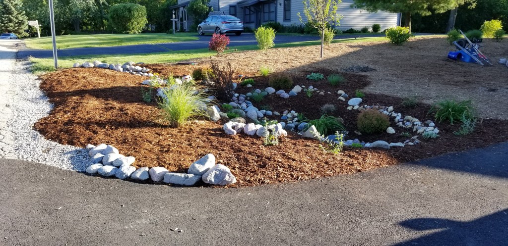 culvert with new plants and boulders