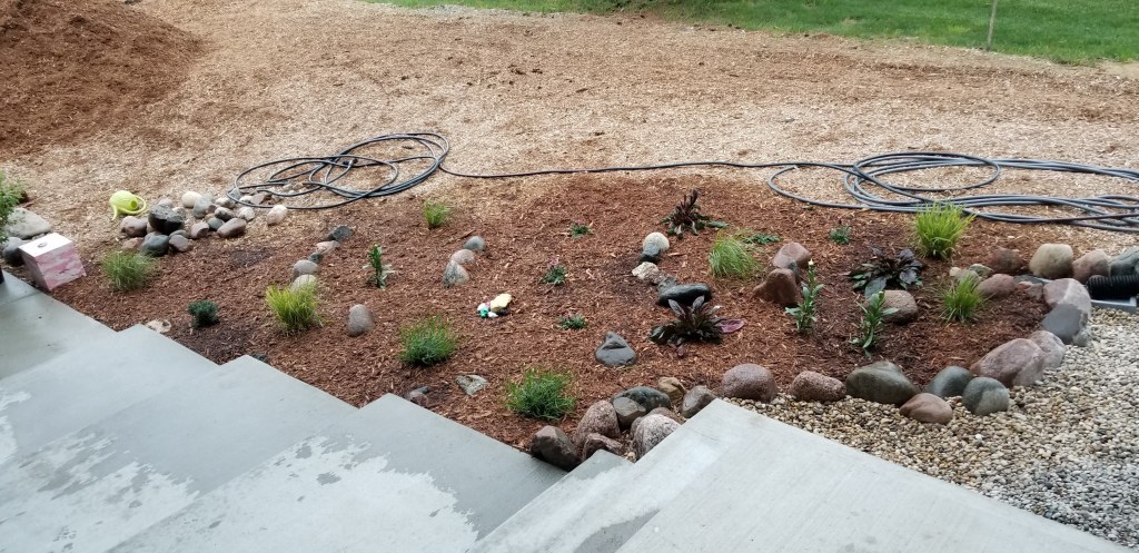 new plants at front entry