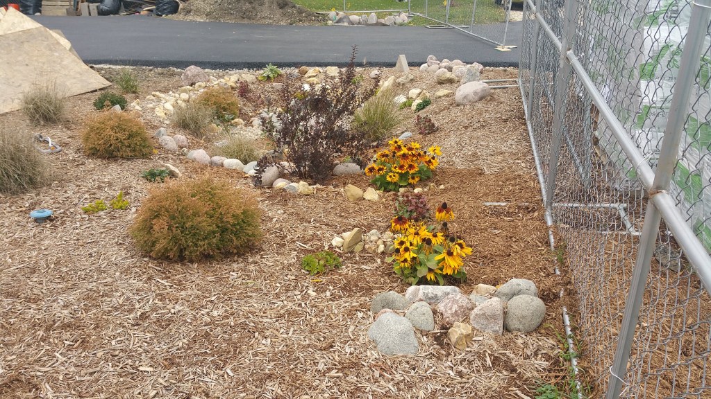 culvert with new plants and boulders