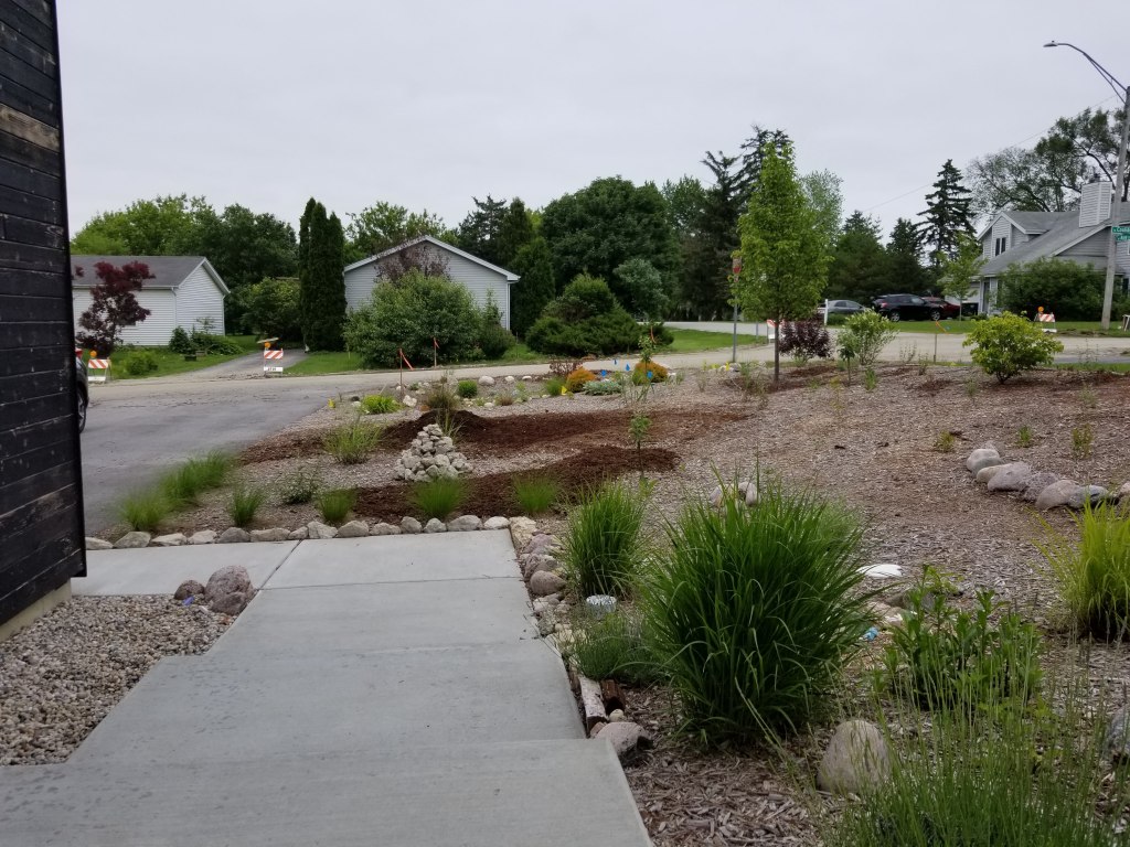 first year food forest
