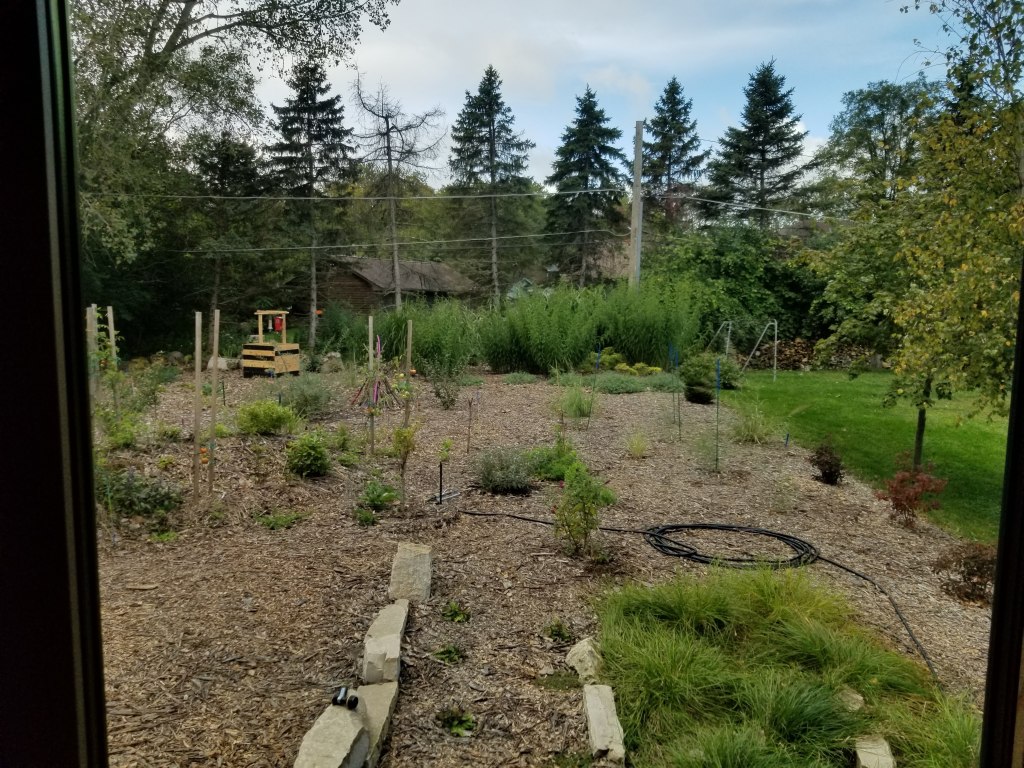 backyard permaculture