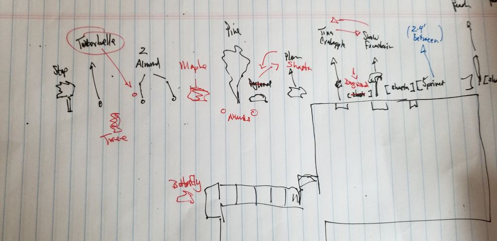 site plan for shrubs