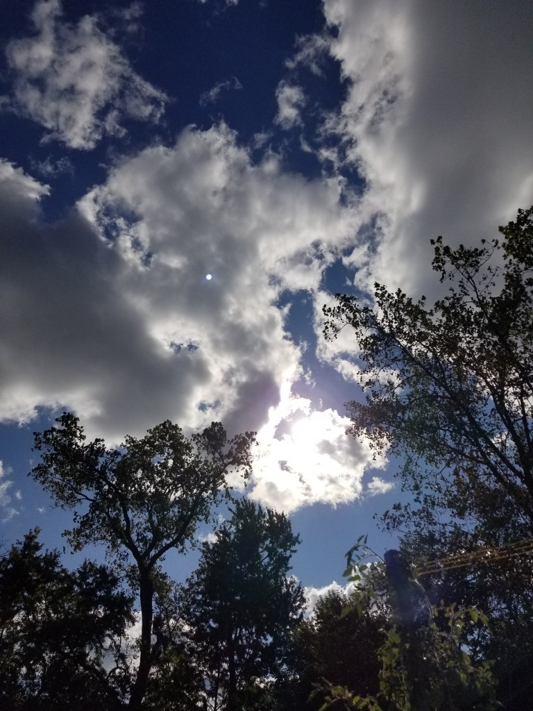 sky with clouds and trees