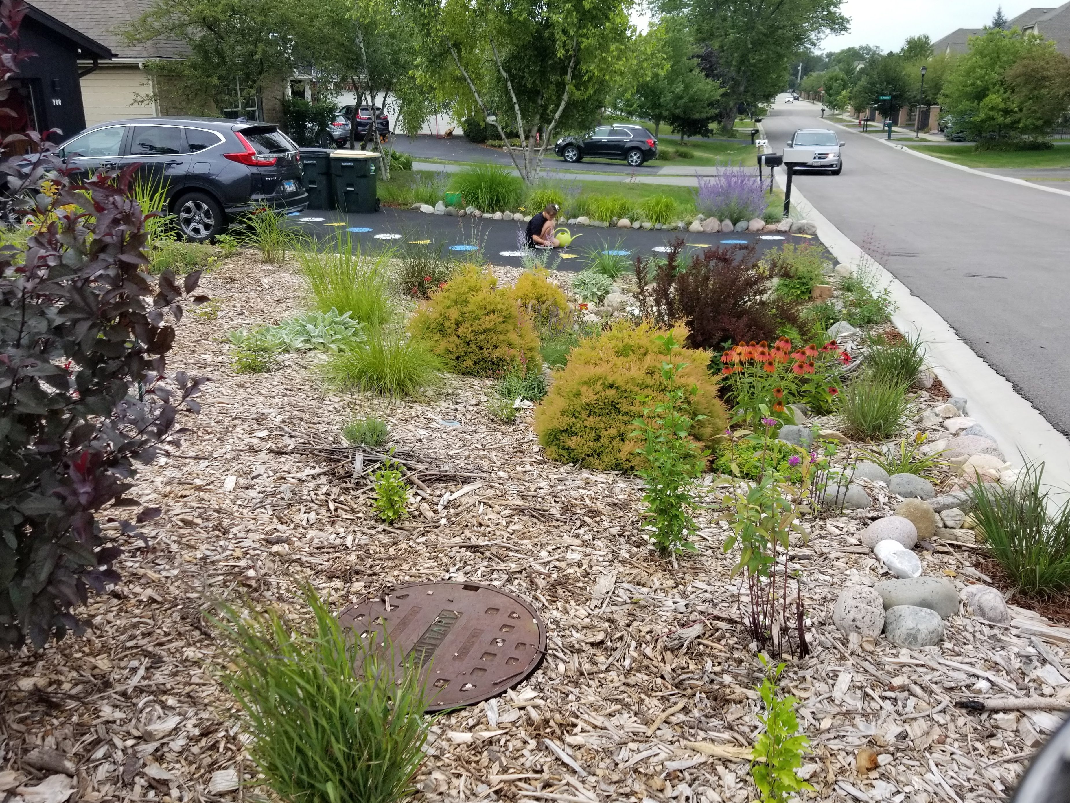 permaculture front yard