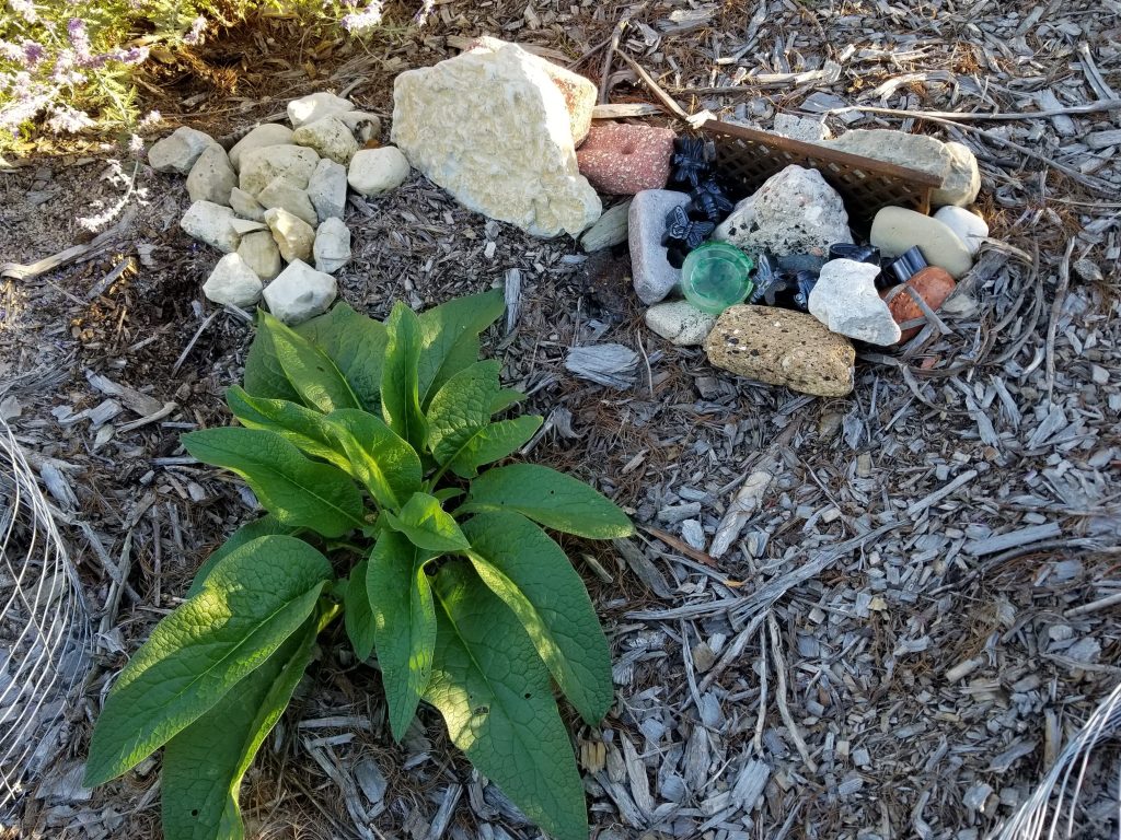 urbanite next to plants