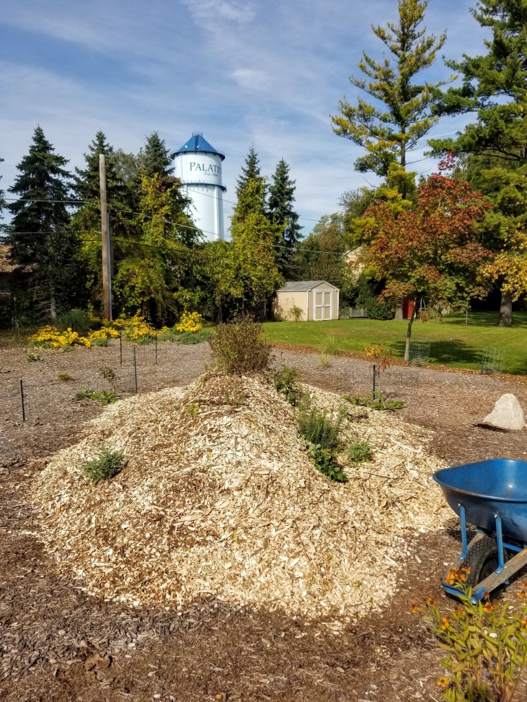 adding mulch to hügelkultur raised bed